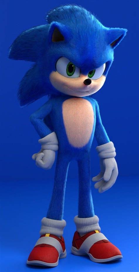 Nicolas The Hedgehog Sonic Sonic Dash Hedgehog Movie