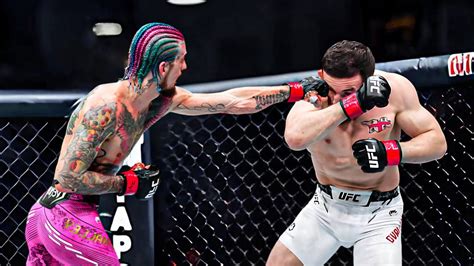 5 Reasons Why Sean OMalley WILL FINISH Merab Dvalishvili UFC 306