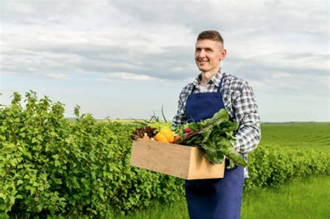 Nosotros Semillas El Campesino Comercializamos Granos Semillas