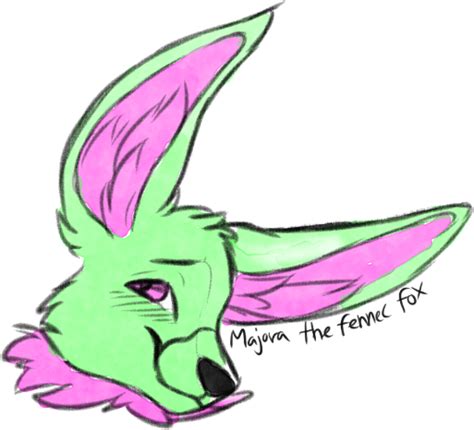 Majora The Fennec Fox Doodle By Roo Is Sleepy Rfurry