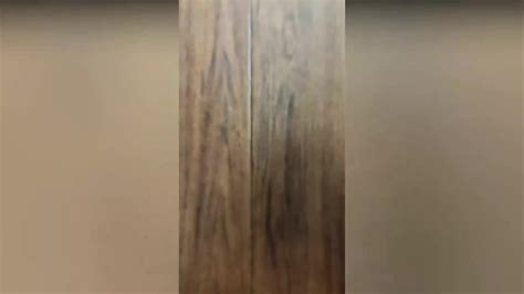 She Loves Him To Fuck Her Ass Deep