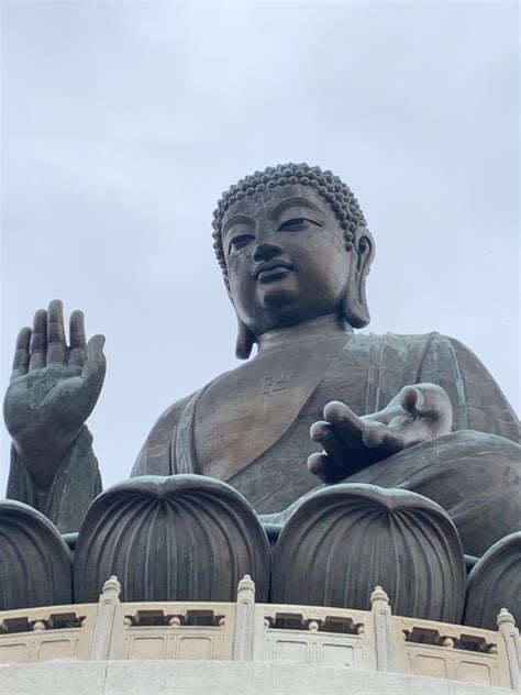 天壇大佛及寶蓮禪寺 無障礙景點 香港一站式 無障礙資訊平台 無障礙旅遊指南 Free Guider