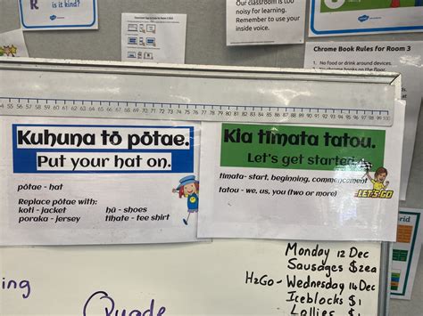 Learning Te Reo M Ori Phrases Wairakei Primary School