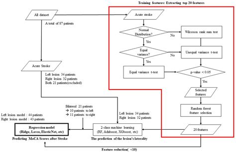 Frontiers Machine Learning Based Prediction Of Post Stroke Cognitive