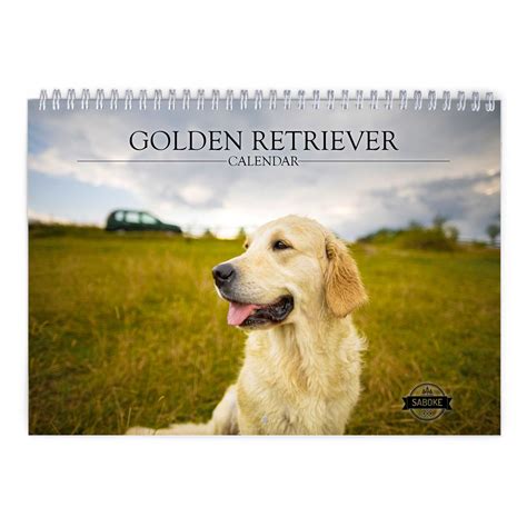Golden Retriever 2025 Wall Calendar