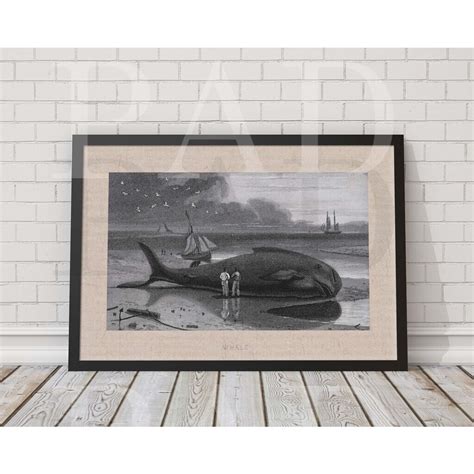 Whale – Print Art Designs