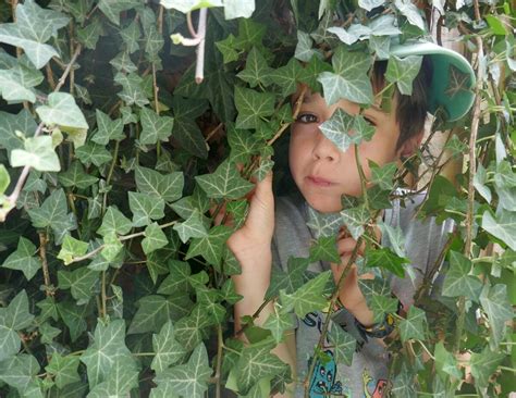 how to pronounce hide