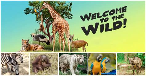 Cebu Safari and Adventure Park, the BIGGEST ZOO in the Philippines ...