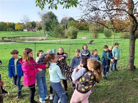 Wandertag am LGW – Limes-Gymnasium Welzheim