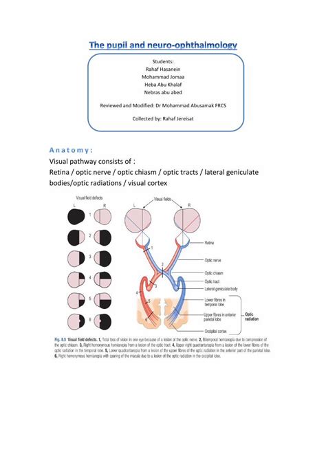 (PDF) Visual pathway consists of Retina / optic nerve / optic - DOKUMEN ...