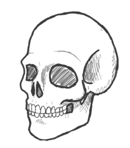 Sideways Skull Drawing Google Search Easy Skull Drawings Skull