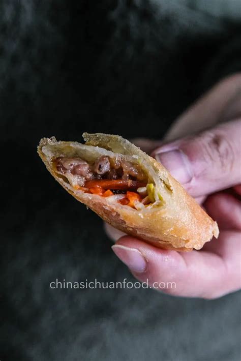 28 Spring Roll Recipe Wrapper TielaIllenna