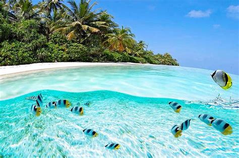 35 Clearest Waters In The World To Swim In Before You Die