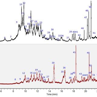 Photodiode Array Pda Chromatograms Uhplc Pda Of N Ramosissima