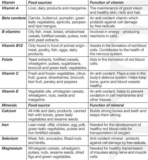 Everything You Need To Know About Micronutrients in 2024 - Rich Palmer PT