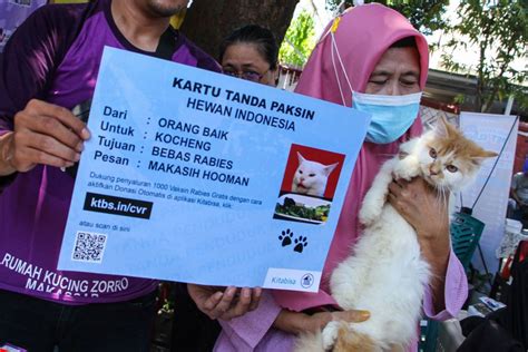 Kasus Gigitan Hewan Penular Rabies Di Bandar Lampung