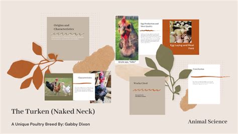 The Turken Naked Neck By Gabriel Dixon On Prezi