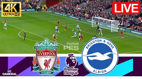 🔴liverpool Vs Brighton🔵live⚽premier League 202324 Full Match Today