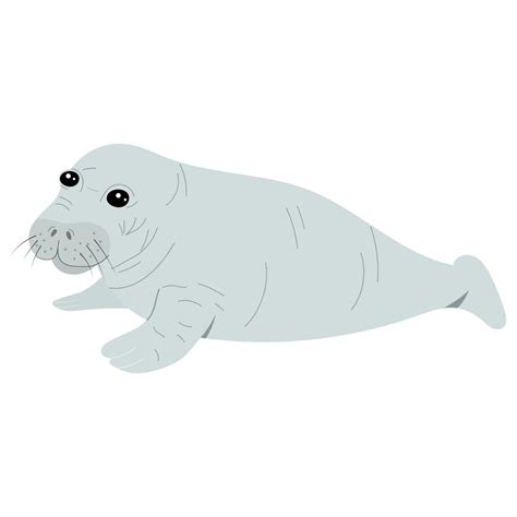 Cute baby manatee isolated on white background 24151140 Vector Art at ...