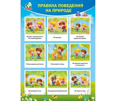 Картинки Правила Поведения На Природе Для Детей Памятка В Картинках ...