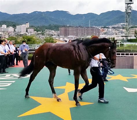 【阪神5r・2歳新馬】ミルテンベルクが断然人気応える3馬身差快勝 「今後が楽しみ」と藤岡康太騎手 Umatoku 馬トク