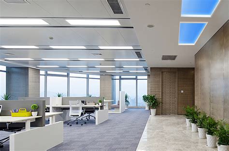 The Best Office Lighting For Employee Productivity And Health