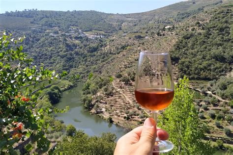 Douro Valley Wine Tasting – Viva Douro Tours