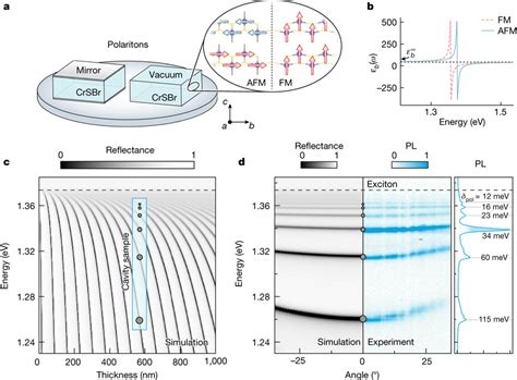 Excitonphoton Coupling In CrSBr Cavities A Schematic Illustrating Two