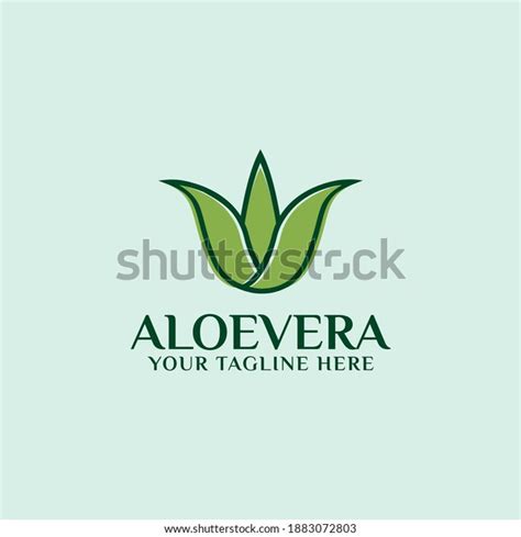 Lidah Buaya Vector Images Stock Photos D Objects Vectors