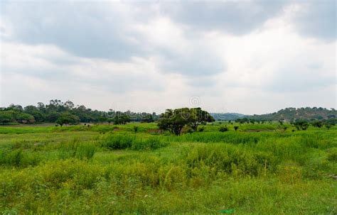 Green Rural Landscape Outdoor With Wooden Fence Rural Landscape Nature