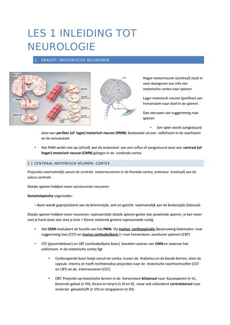 Les Inleiding Neurologie Pathologie N Les Inleiding Tot