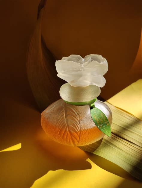 Kenzo Kenzo Parfum - ein es Parfum für Frauen 1988