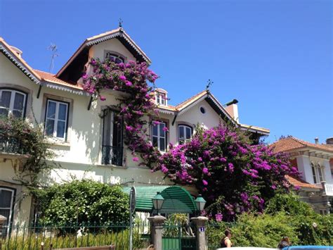 Sintra Bidos Baleal Peniche Mafra Jednodniowa Wycieczka Z Lizbony