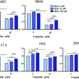 A Effect Of Cisplatin On HK 2 Cells In Inducing ROS Generation HK 2