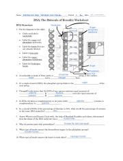 DNA The Molecule Of Heredity Worksheet Docx Course Hero