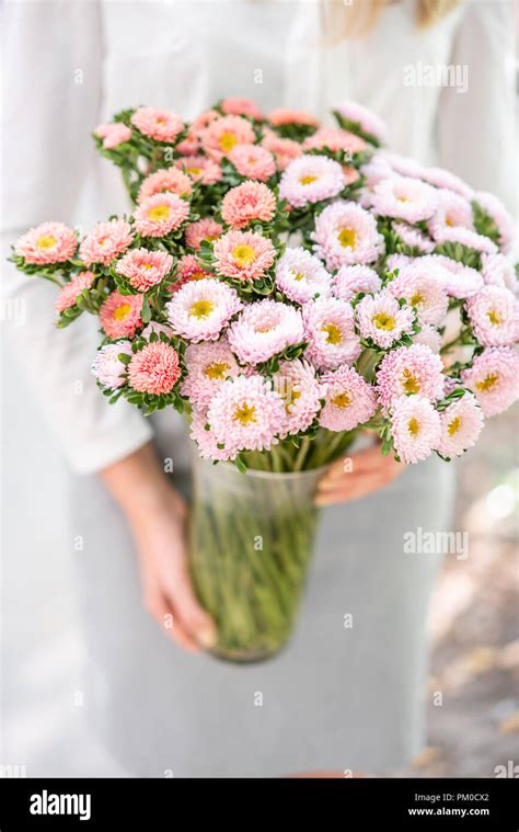 Aster bouquet hi-res stock photography and images - Alamy