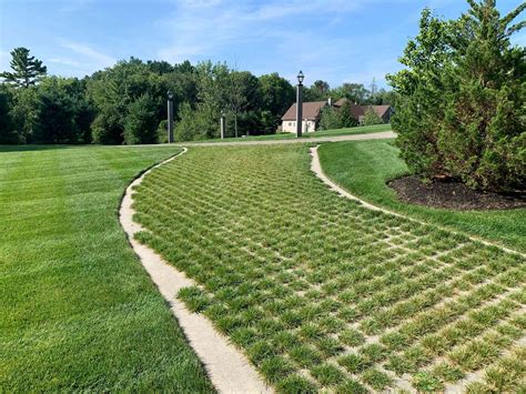 Sustainable paving projects for the future petherton road 19