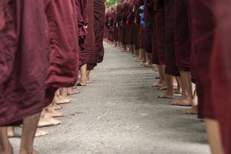 Buddhist Monks In Queue To Eat Stock Photo Image Of Traveling