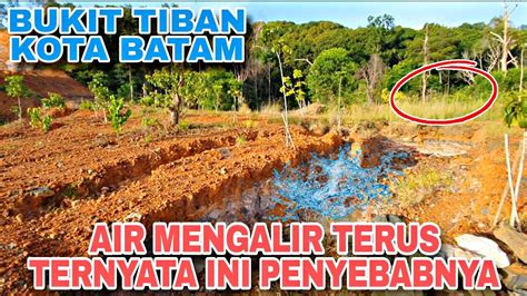 Ada Danau Di Tepi Jalanan Tiban Batam Habitat Kantong Semar