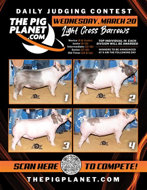 Judging Contest The Pig Planet