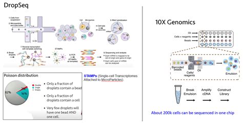 Single Cell Sequencing Duo Niche