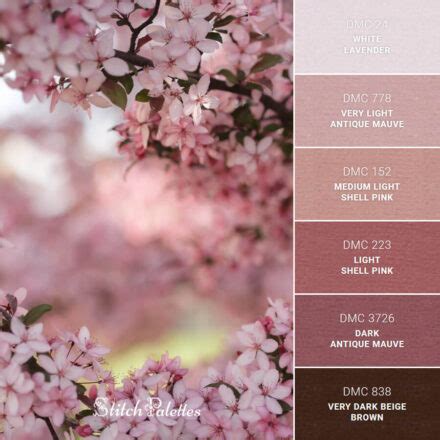 Cherry Blossom - Embroidery Color Palette (With Thread Codes)