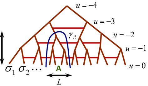 Left The Tensor Network For The MERA And The Estimation Of The