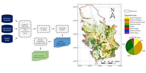 Remote Sensing Free Full Text Spatio Temporal Classification Framework For Mapping Woody