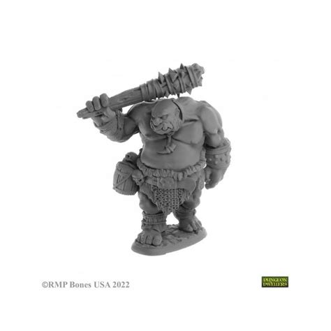 Ogre Guard Ogre Fighter Von Reaper Aus Reaper Bones Usa Dungeon Dwell