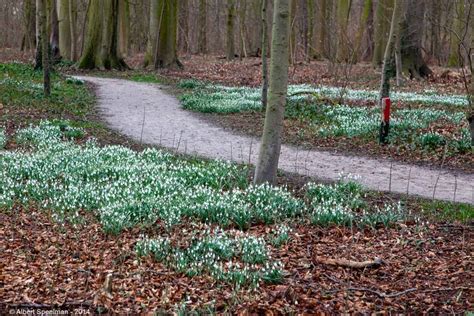 Bunnik OudAmelisweerd 2014 ASP 05 | Gallery