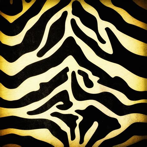 Zebra skin pattern Stock Photo by ©marchello74 35894009