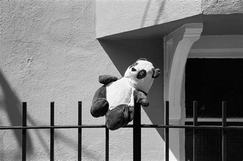 Lost Panda Delta Tmax Dev Playing With The New Voig Flickr