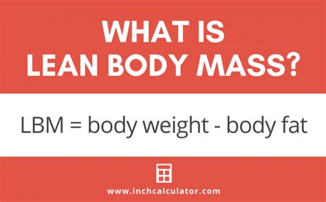 Lean Body Mass Calculator Inch Calculator