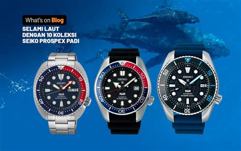 Inilah 10 Koleksi Seiko Prospex PADI Yang Tangguh Untuk Penyelam